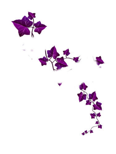 پیشنهادهای شگفتانگیز